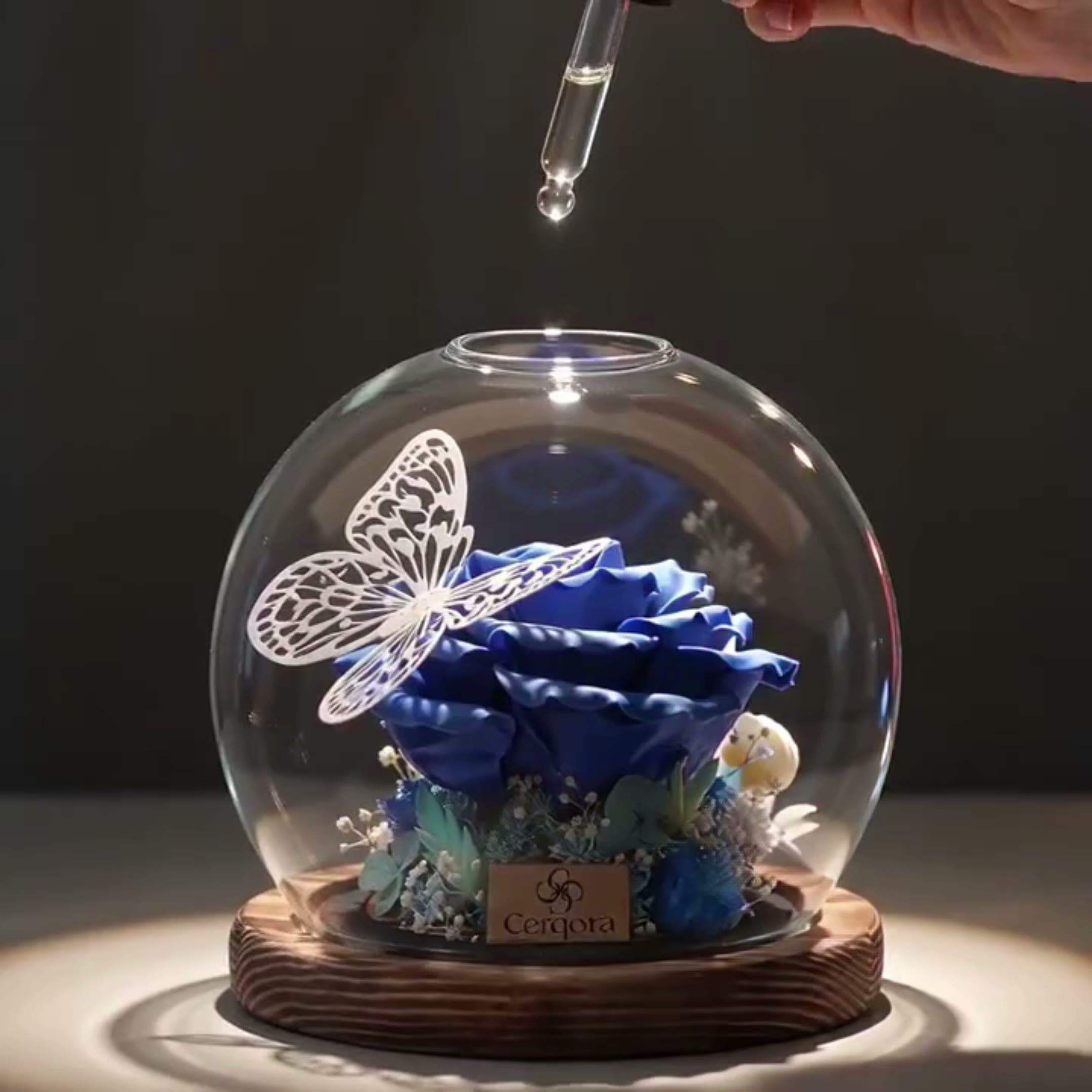 Blue rose glass-dome preserved flower, full gift set